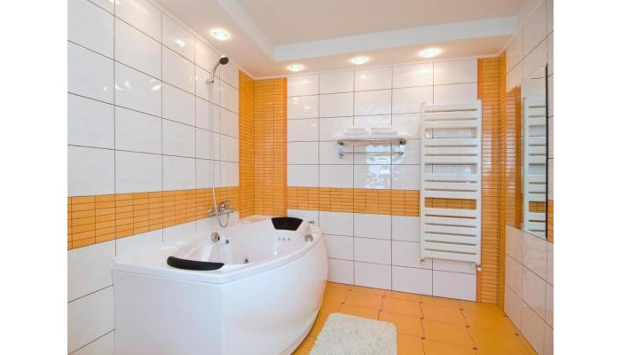 Hotel Ambient poza 5