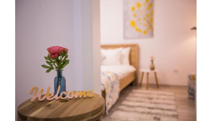 Apartment Ella Brasov poza 0