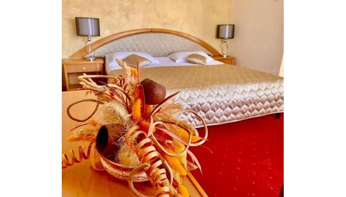 Hotel Belvedere Predeal poza 16