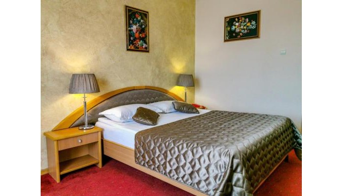 Hotel Belvedere Predeal poza 6