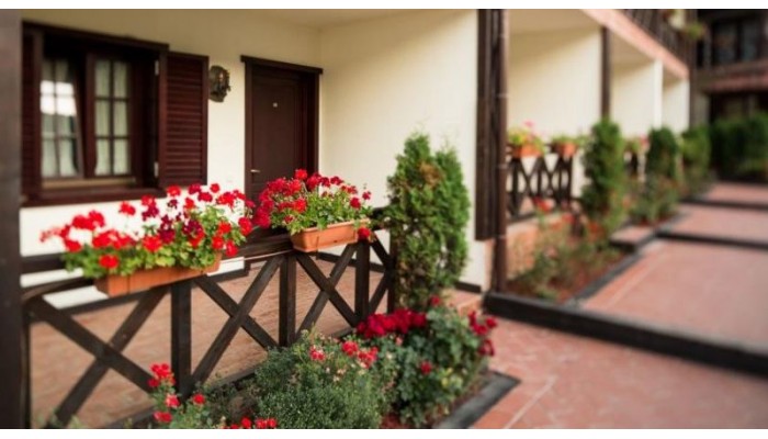 Hotel Dambu Morii poza 4