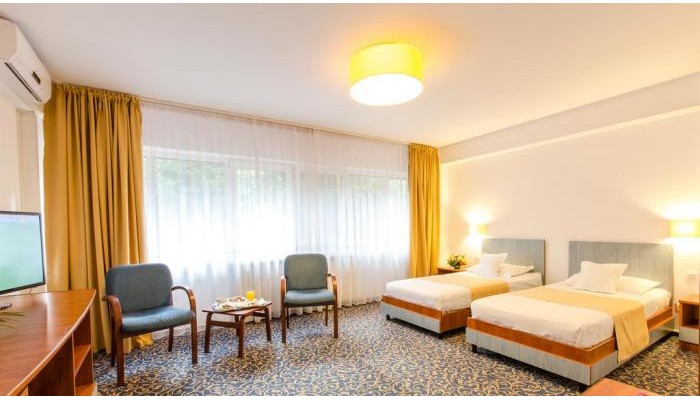 Herastrau Hotel poza 17