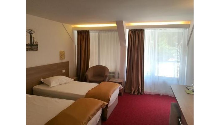 Herastrau Hotel poza 19