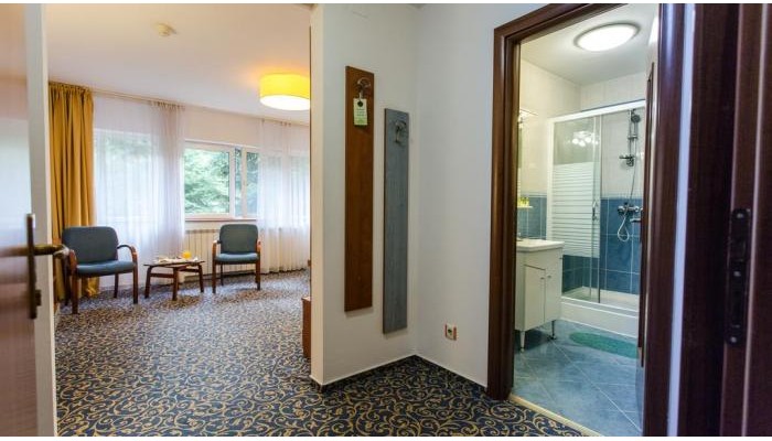 Herastrau Hotel poza 27