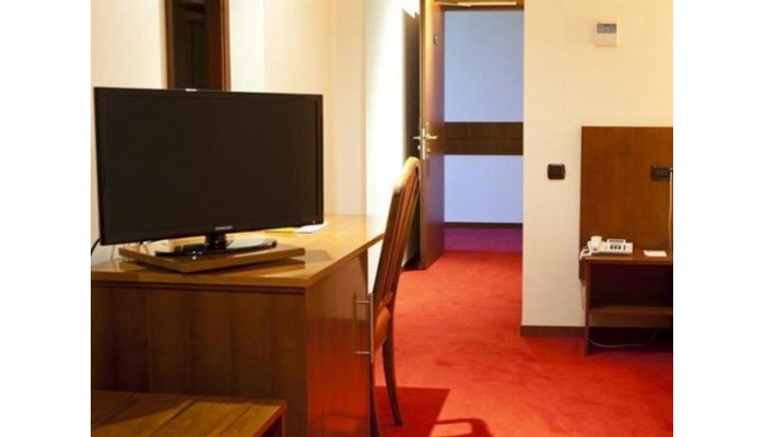 Hotel Alexander poza 14