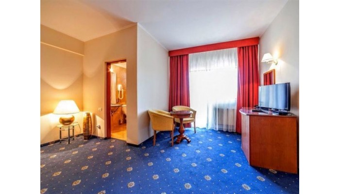 Hotel Best Western Plus Expocenter poza 20