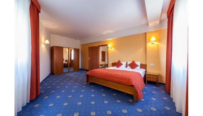 Hotel Best Western Plus Expocenter poza 28