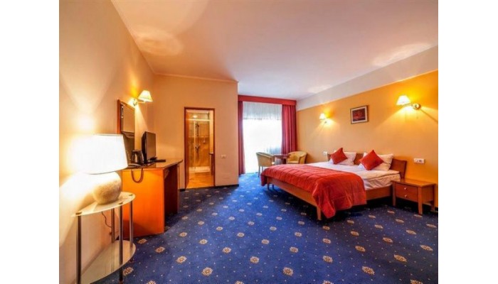 Hotel Best Western Plus Expocenter poza 17