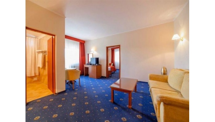 Hotel Best Western Plus Expocenter poza 19