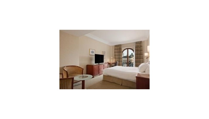 Hotel Hilton Bucharest Athenee Palace poza 20