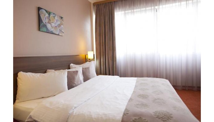 Rin Airport Hotel poza 23