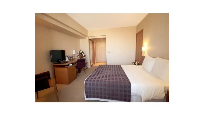 Sheraton Bucharest Hotel poza 11