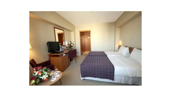 Sheraton Bucharest Hotel poza 13