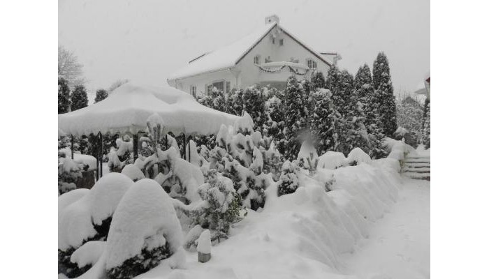 Boutique Hotel Club Austria poza 0