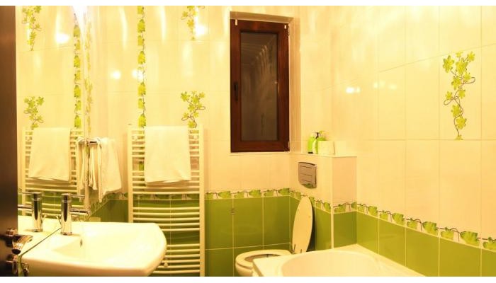 Hotel Busteni Mountain Suites poza 2