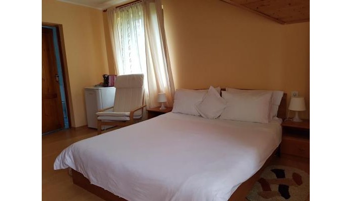 Hotel Casa Munte Busteni poza 5