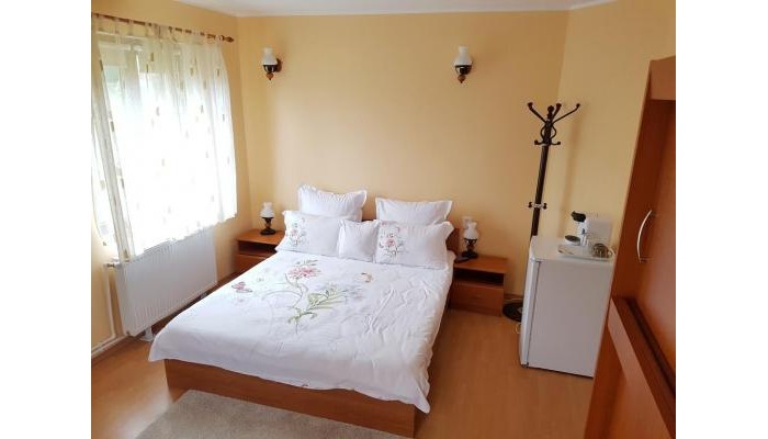 Hotel Casa Munte Busteni poza 6