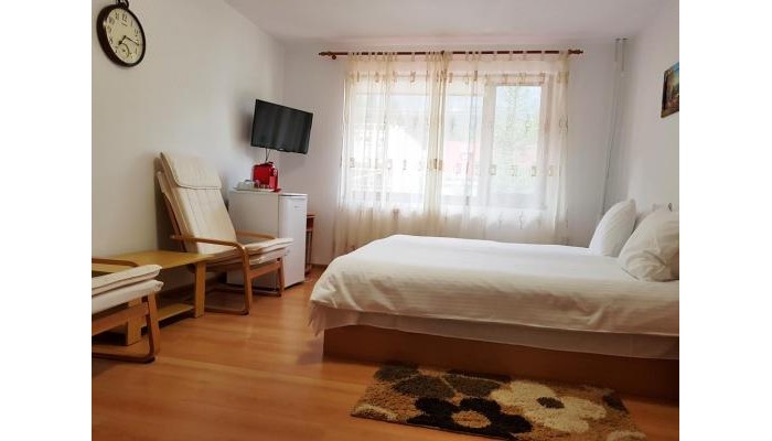 Hotel Casa Munte Busteni poza 3