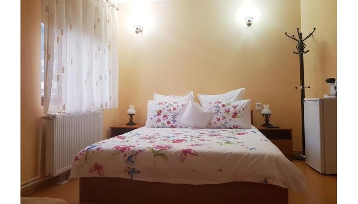 Hotel Casa Munte Busteni poza 7