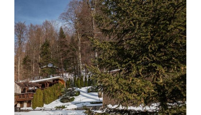 Hotel Freya House poza 8