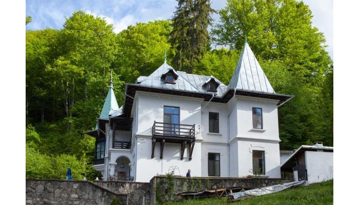 Hotel Il Piccolo Castello Busteni poza 2