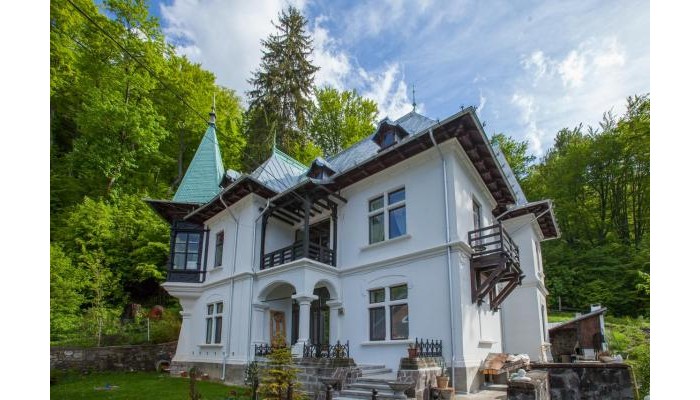 Hotel Il Piccolo Castello Busteni poza 0