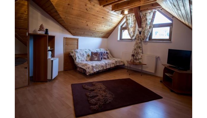 Vila Cascada poza 15