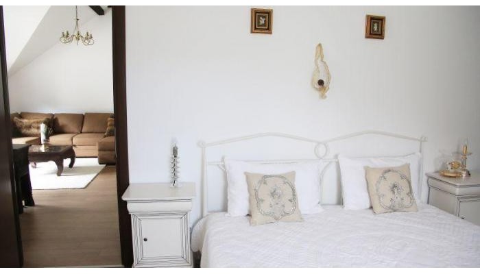 Villa Ermitage Busteni poza 6