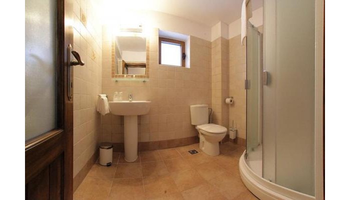 Villa Ermitage Busteni poza 13