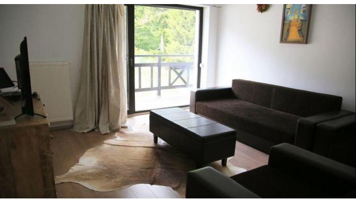 Villa Ermitage Busteni poza 19