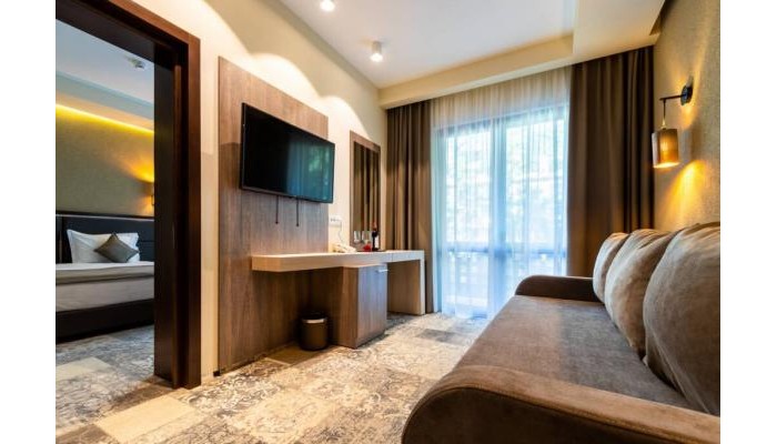 Hotel Izvoare poza 13