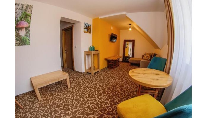 Hotel Residence Rooms Bucovina poza 5