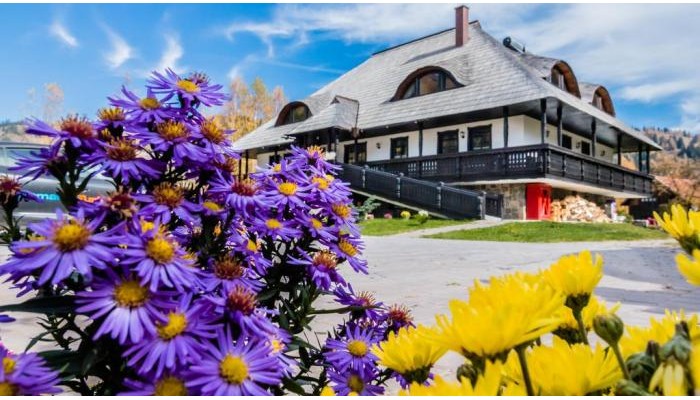 Pensiunea La Moara poza 3