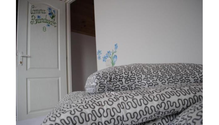 Hotel Vilele Superski poza 16