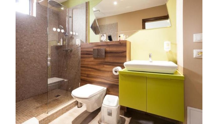 Aparthotel Gutinului poza 7