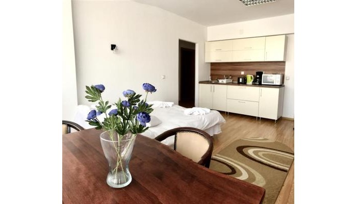 Aparthotel Zorilor poza 21