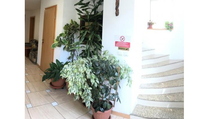 Hotel Abi Hostel poza 9