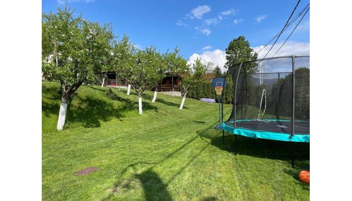 Hotel Cazare Colibita Casa Lipan poza 20