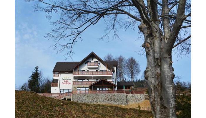 Pensiunea Lac Colibita poza 1