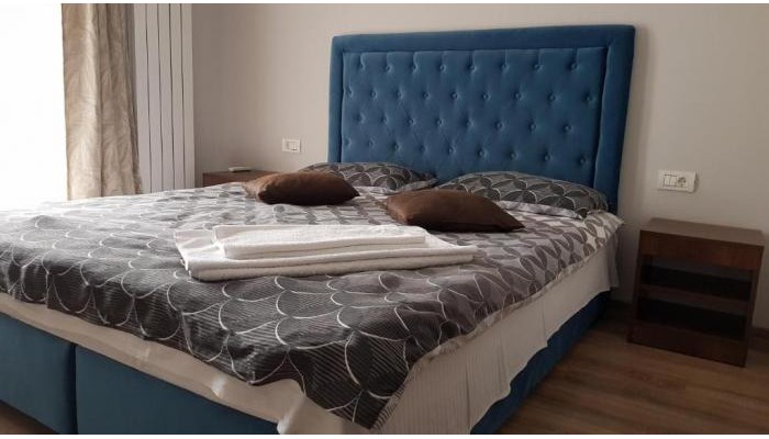 Pensiunea La Iani poza 2