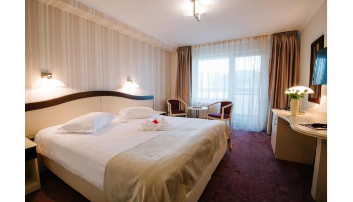 Hotel Caprioara poza 5