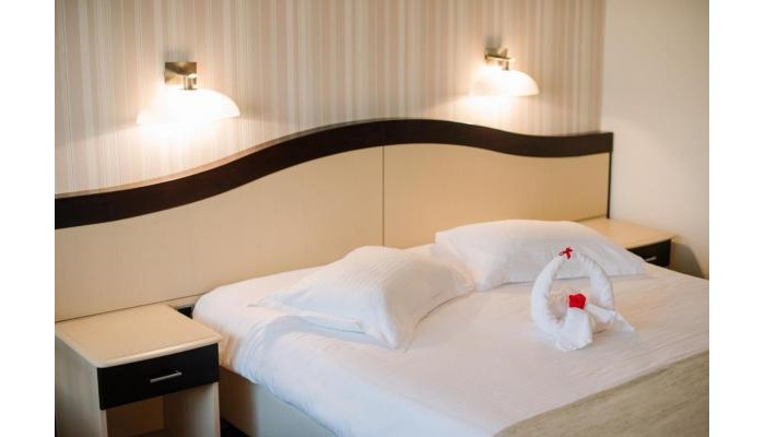 Hotel Caprioara poza 6