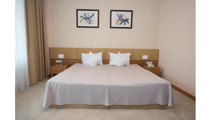 Hotel Tts Spa & Wellness Covasna poza 5