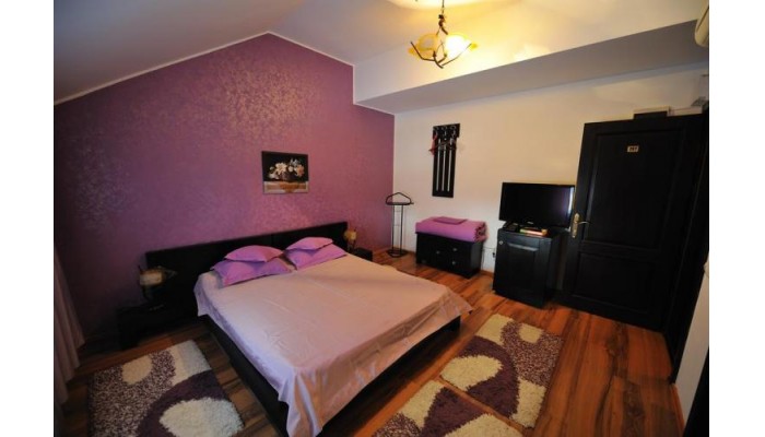 Hotel Carul Din Stele poza 0