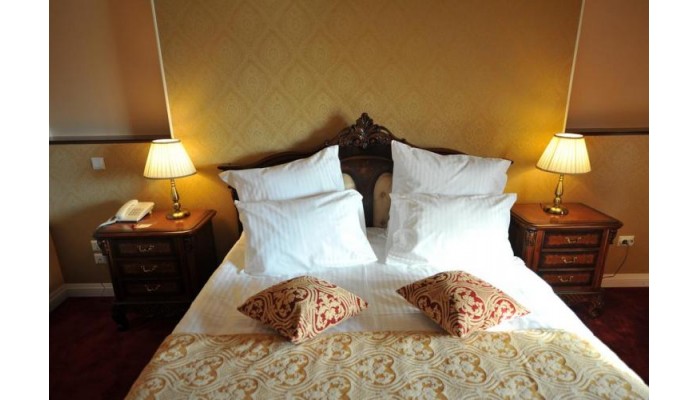 Hotel Carul Din Stele poza 9