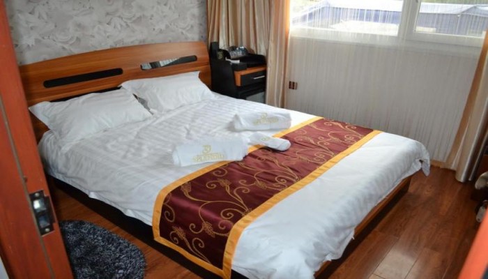 Hotel Plutitor Splendid poza 2