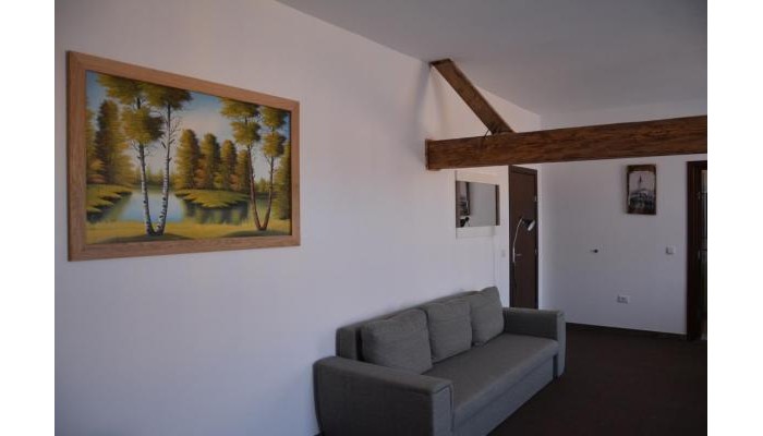 Hotel Cristian Inn poza 4