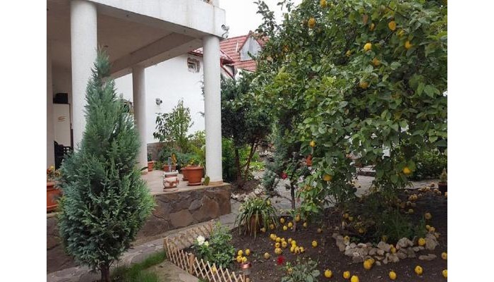 Villa Cristiani poza 0