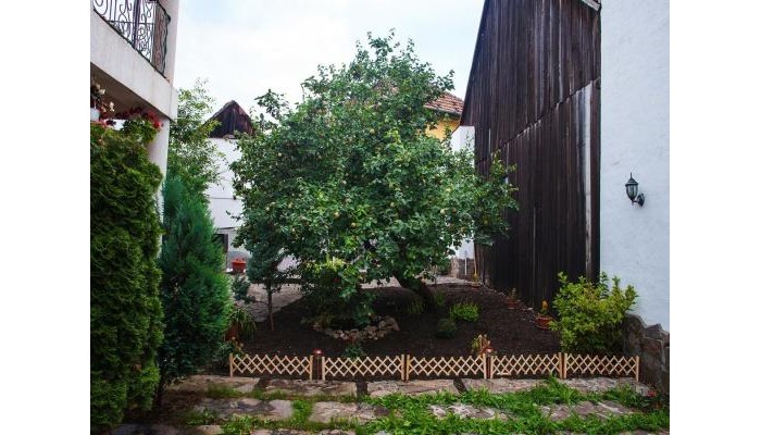 Villa Cristiani poza 2