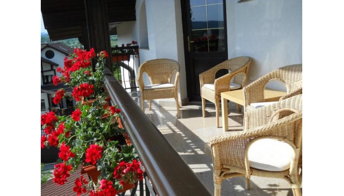 Hotel Casa Domneasca poza 2